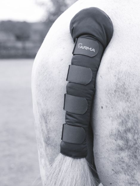 Padded Tail Guard - Arma