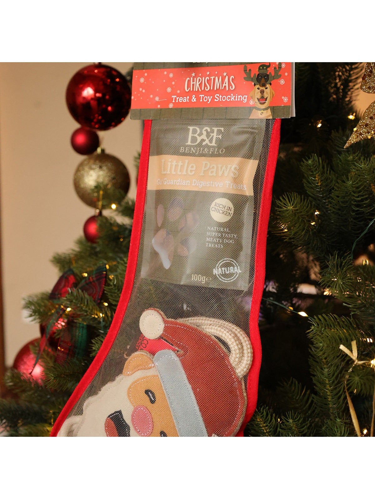 Benji & Flo Christmas Treat & Toy Stocking