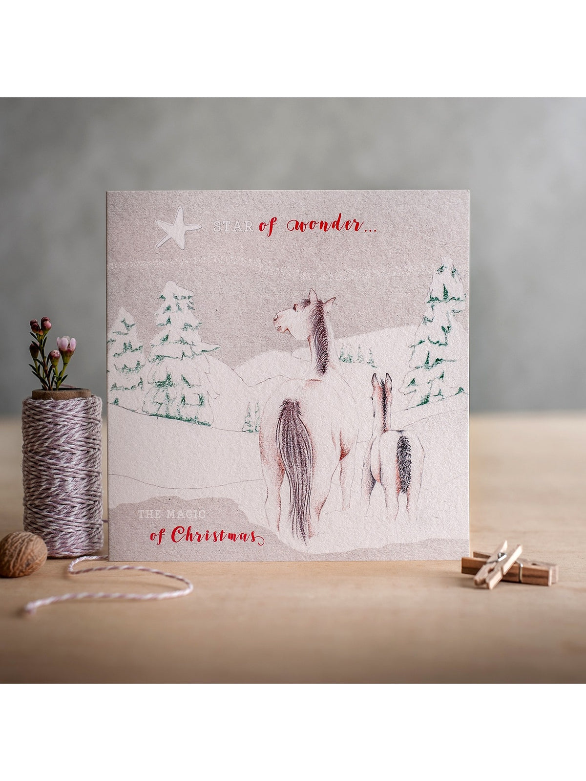 Deckled Edge Star Of Wonder Christmas Card