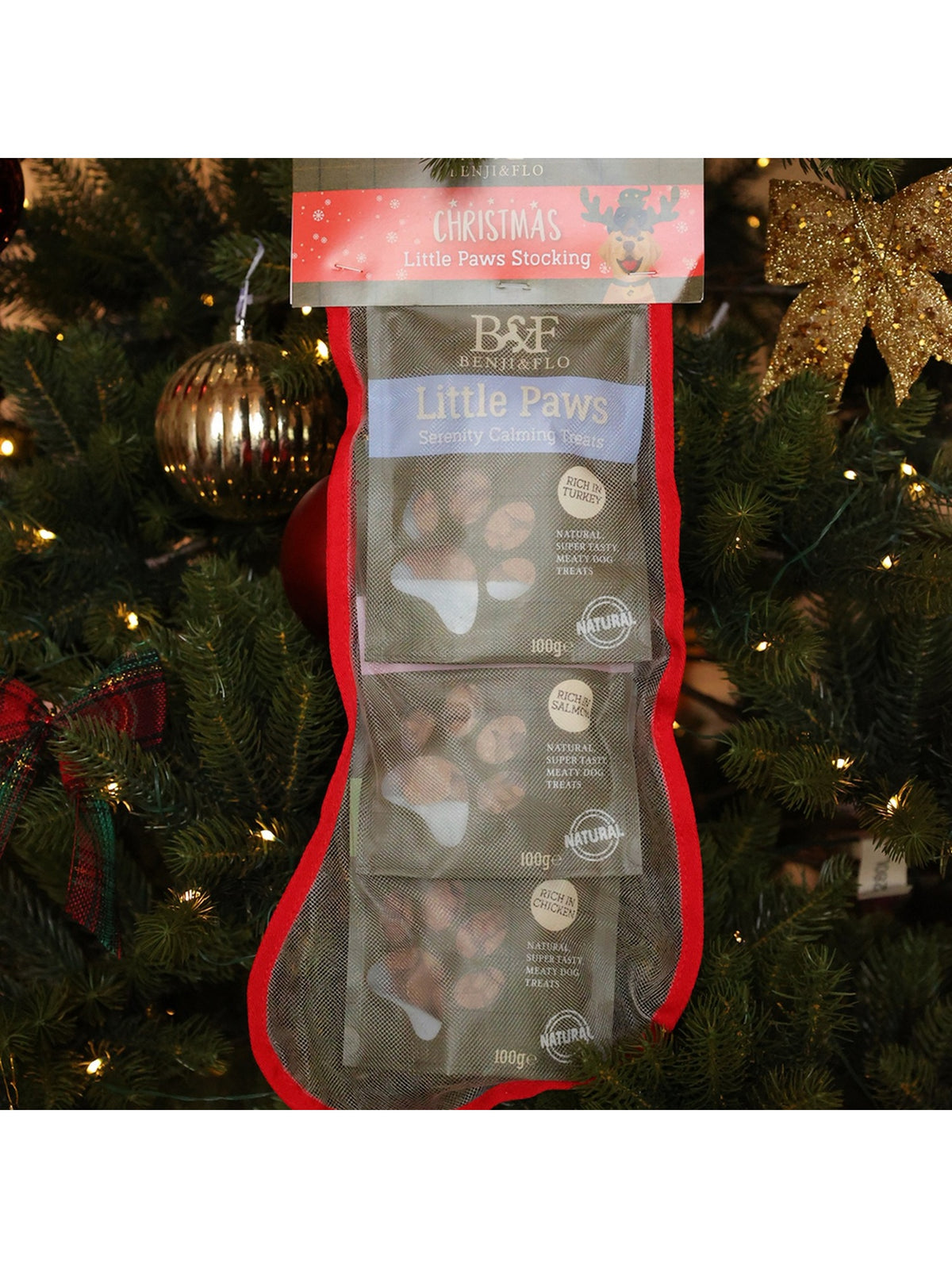 Benji & Flo Christmas Little Paws Stocking