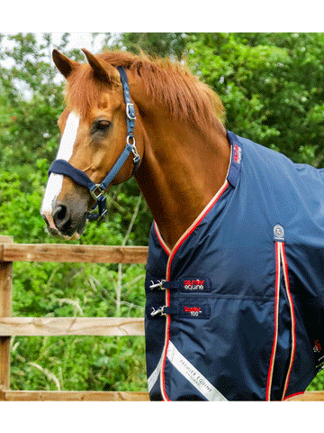 Premier Equine Buster 100g Turnout with Neck Cover