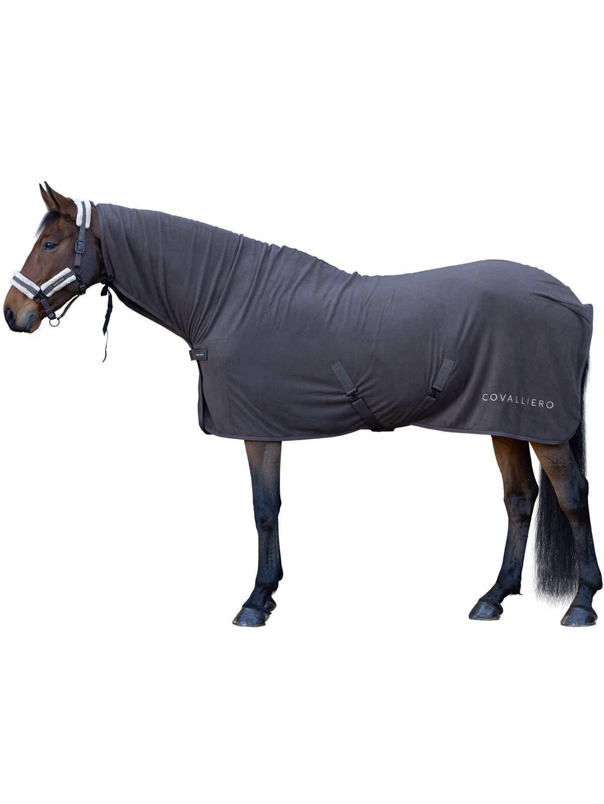 Covalliero Cooler Rug