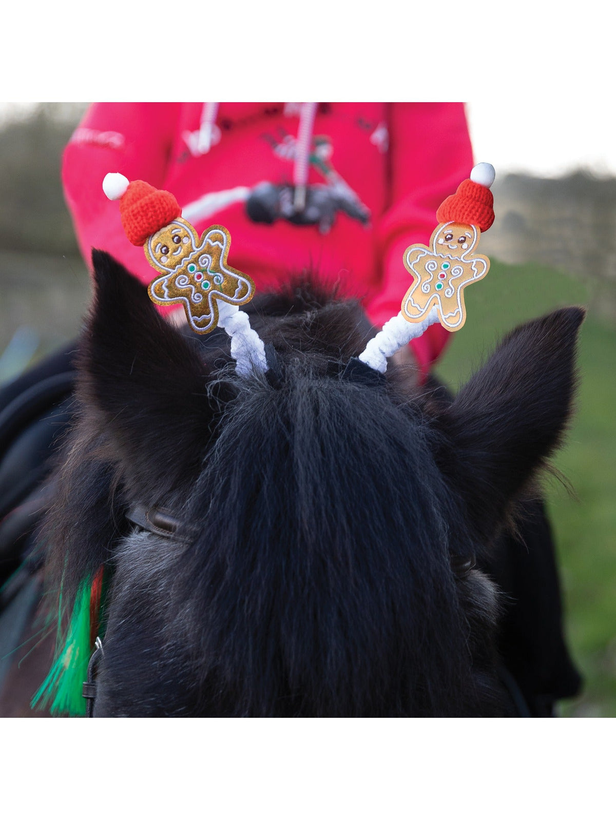 Equetech Gingerbread Ear Boppers