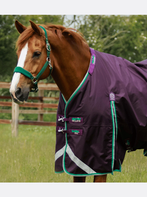 Premier Equine Buster 200g Turnout with Neck Cover