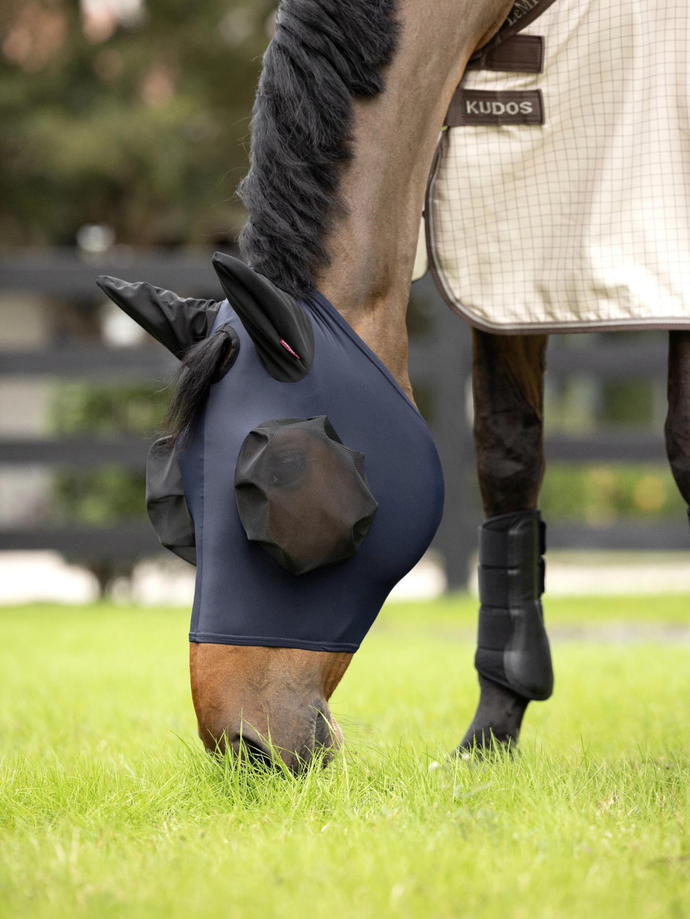 Le Mieux Bug Relief Half Fly Mask