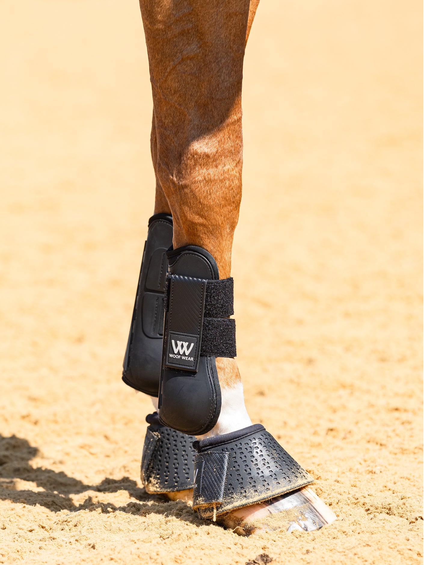 Woof Wear Pro Tendon Boots