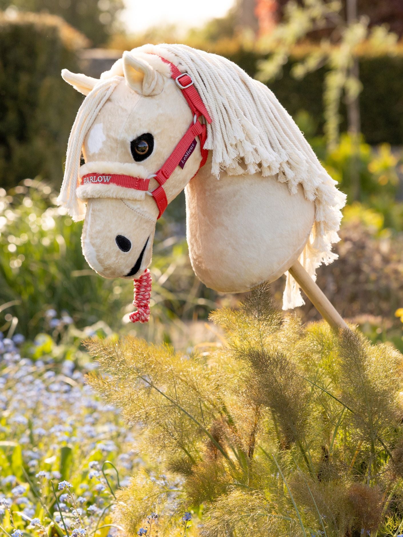 Hobby Horse Headcollar