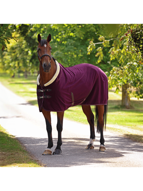 Shires Deluxe Fleece Rug