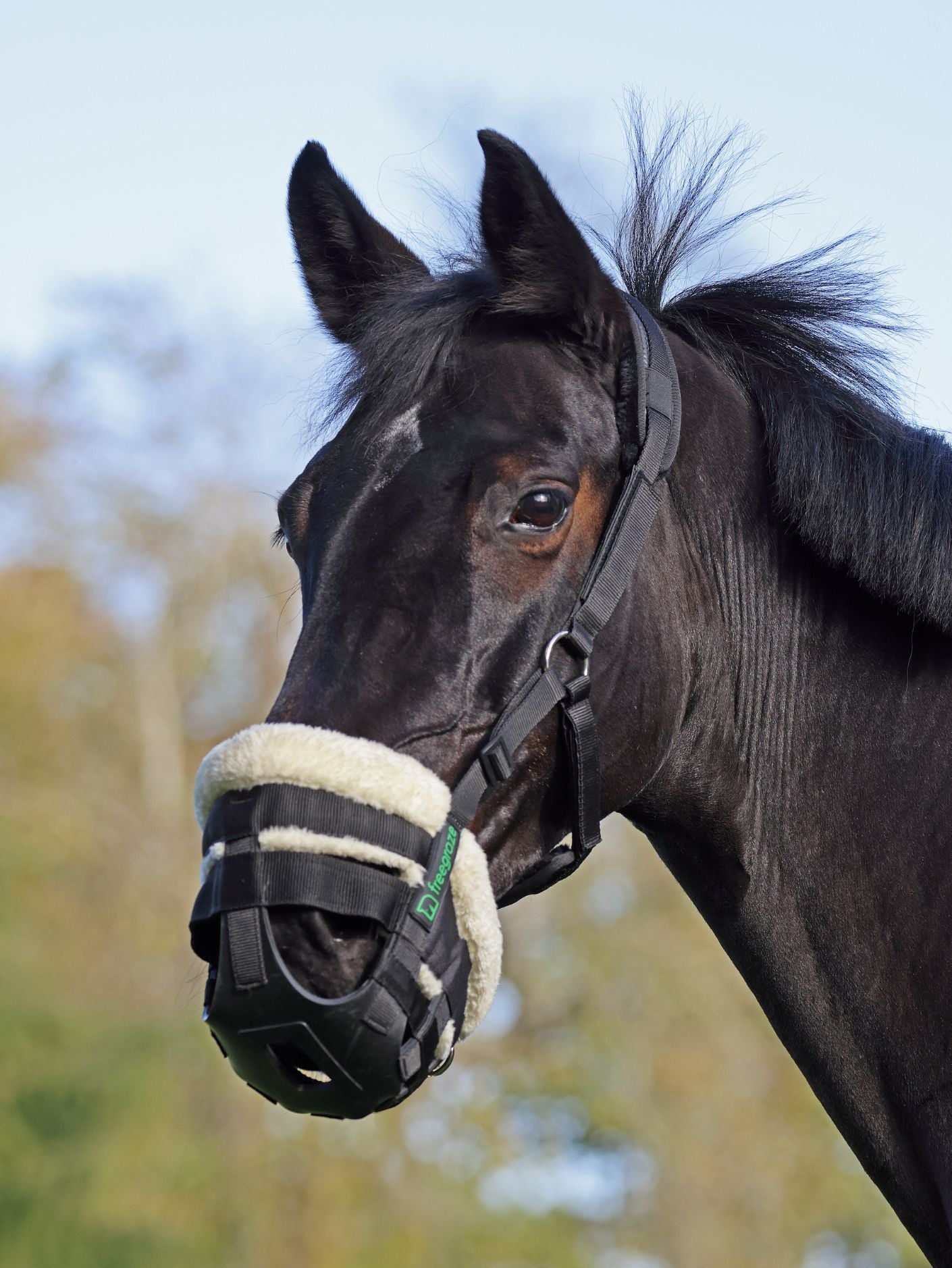 FreeGraze Airflow Grazing Muzzle