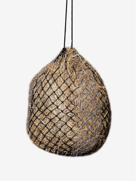 Hippo Haynet