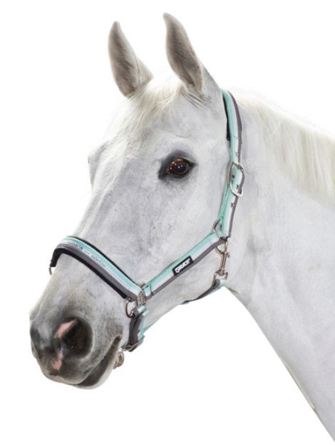 Eskadron Classic Sports Pin Buckle Adjustable Headcollar