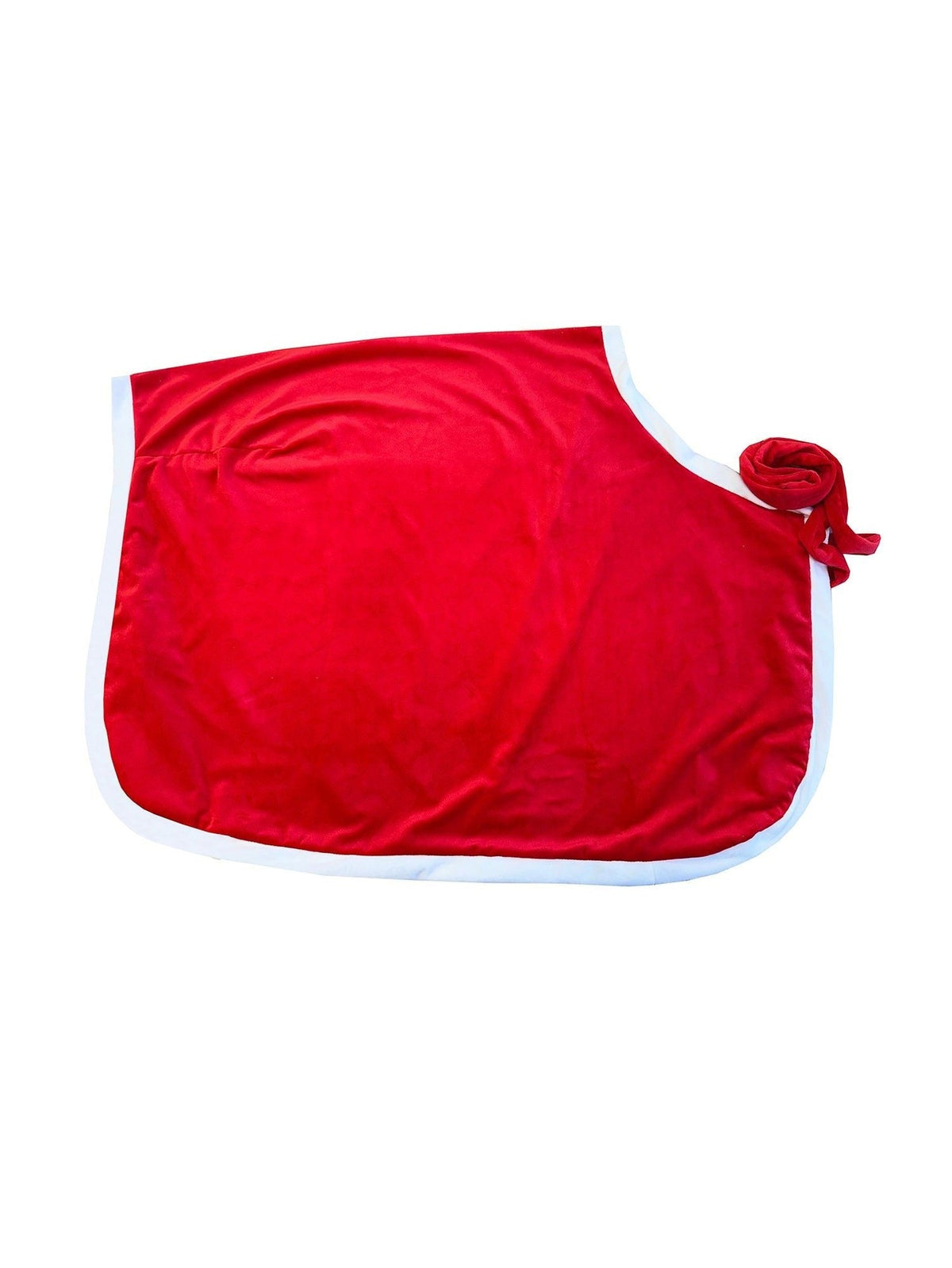 Equetech Santa Christmas Quarter Sheet