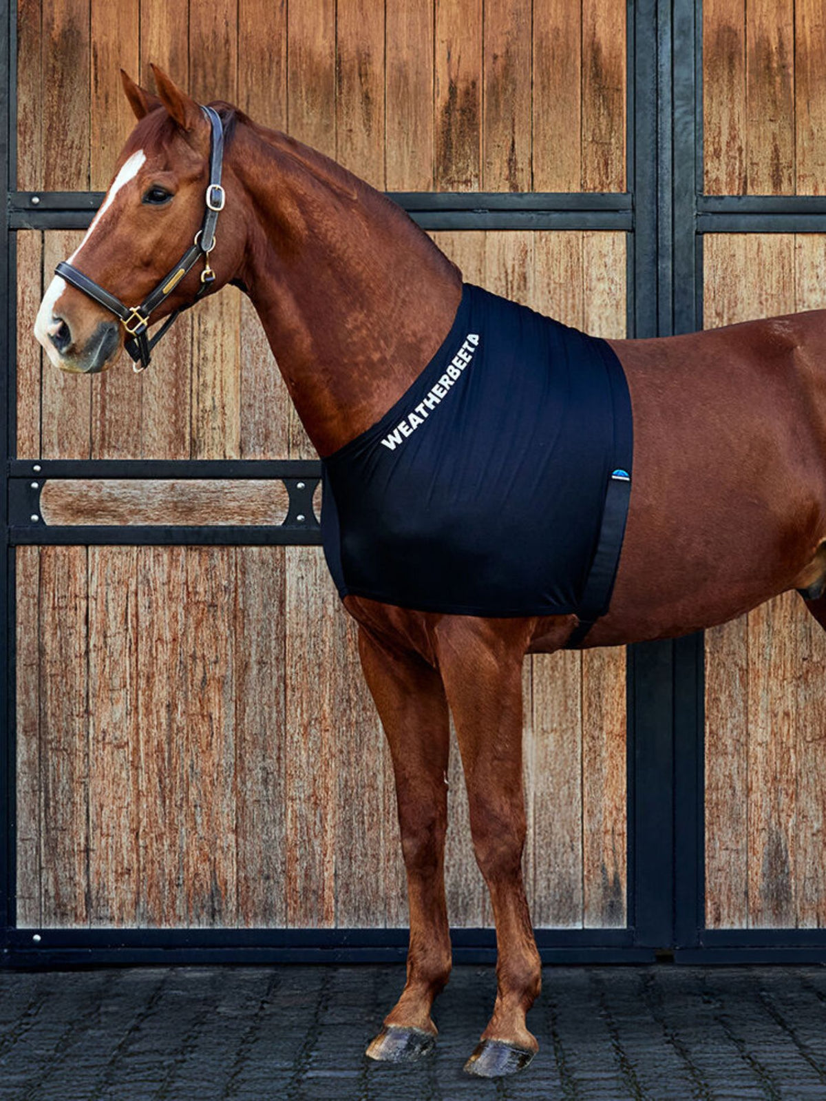 Weatherbeeta Shoulder Guard