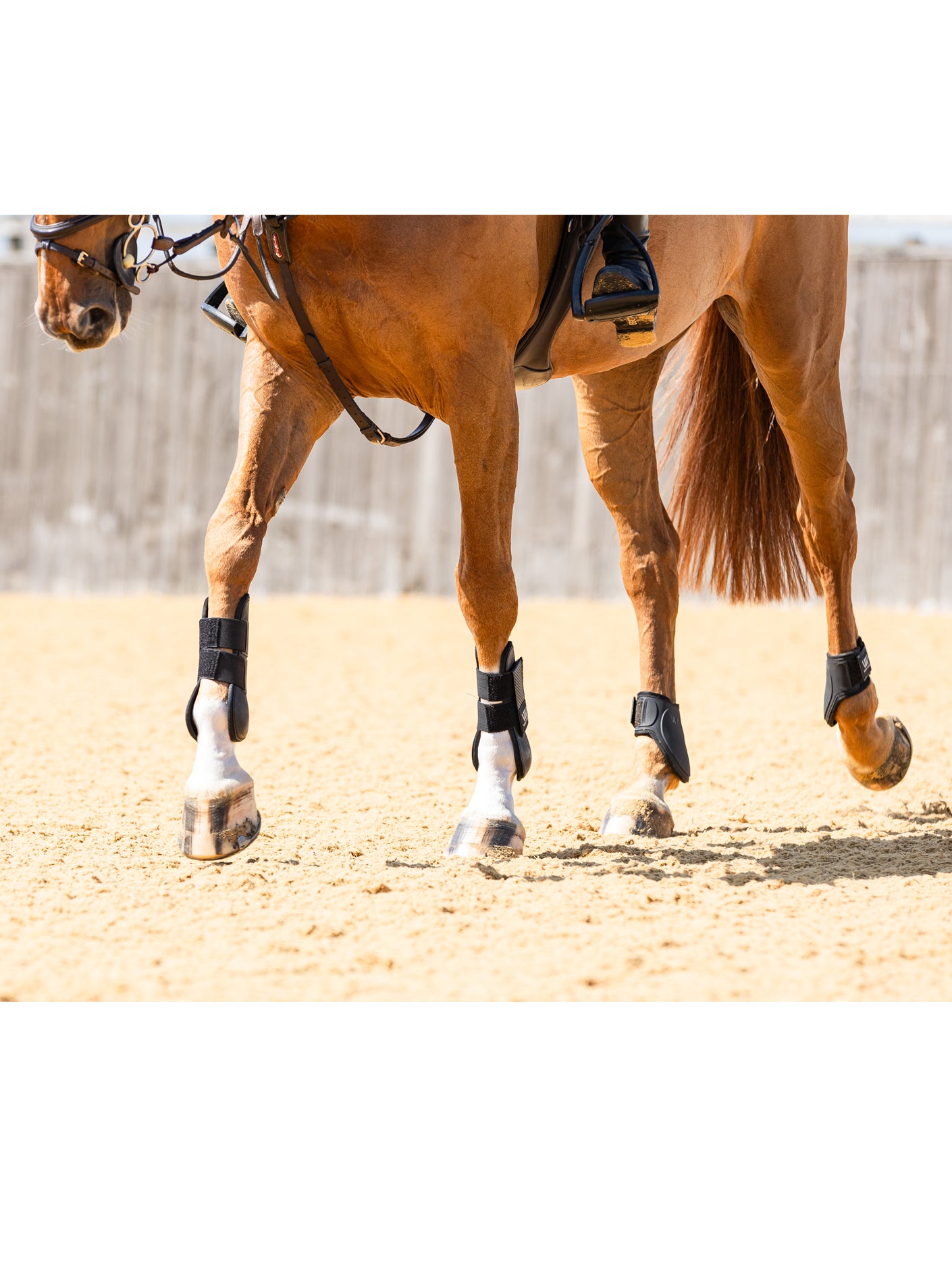 Woof Wear Pro Fetlock Boots