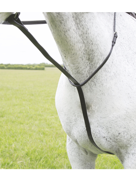 Blenheim Standing Martingale