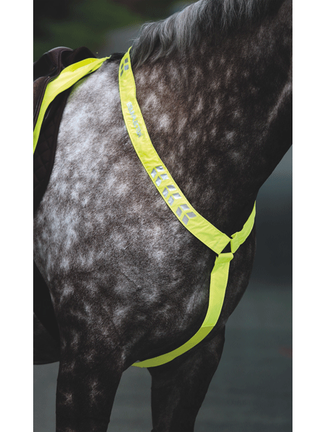 Equi-Flector Breastplate
