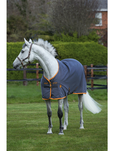 Amigo Summer Sheet