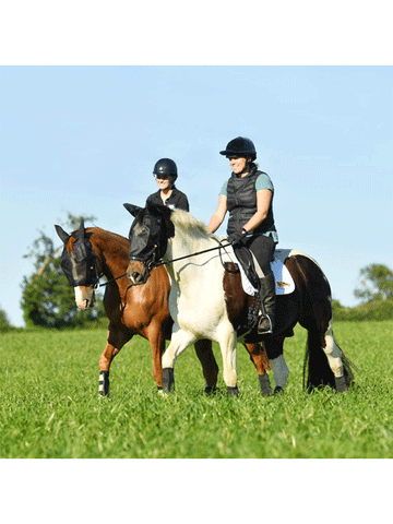 Equilibrium Ride On Fly Mask