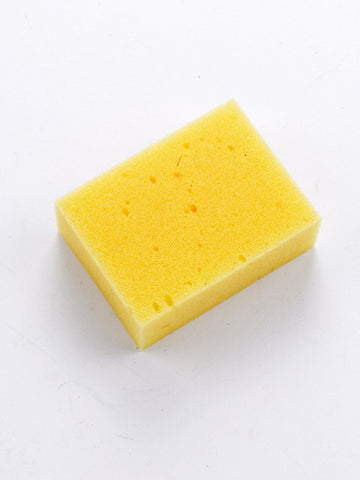 Small Sponge