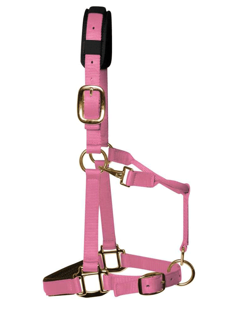 Padded Headcollar