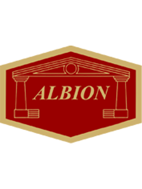 Albion Reins