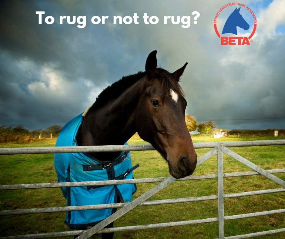 To rug or not to rug?