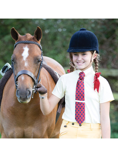 Horse / Health & Grooming / Clippers & Clipper Blades - Chobham Rider