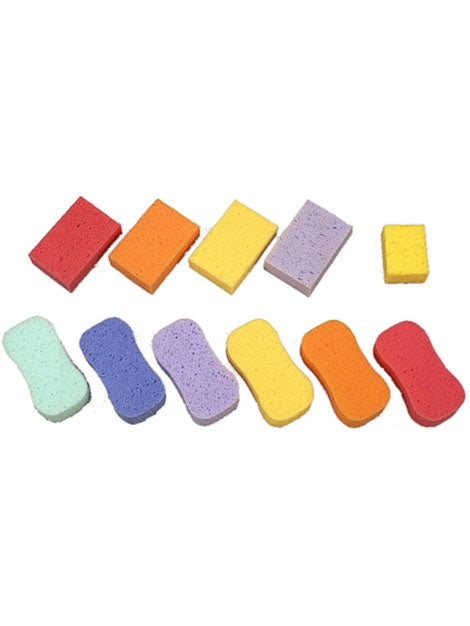 Sponges, Sweat Scrapers and Bucket Brushes