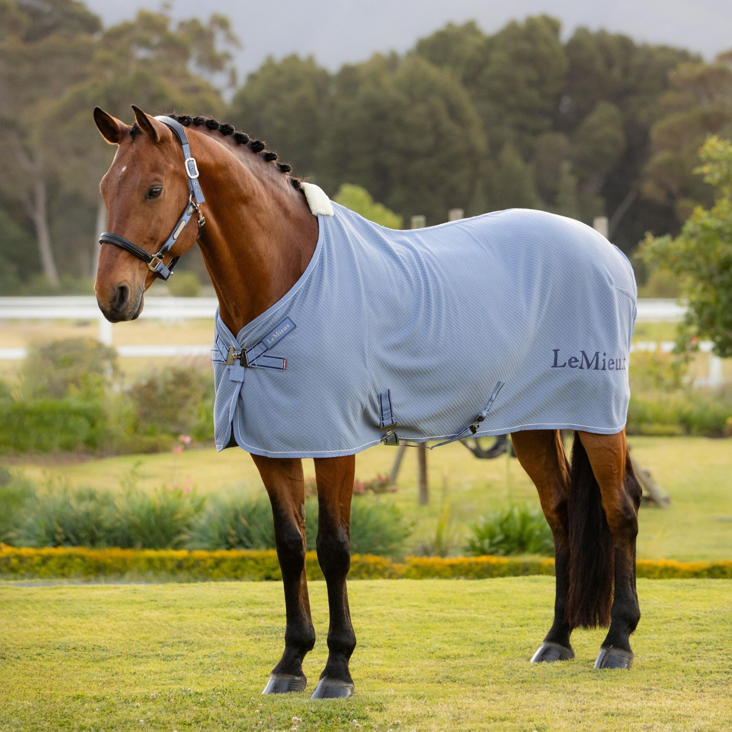 Coolers and Fleeces