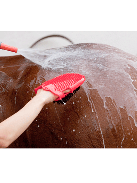 Horse	/ Health & Grooming	/ Shampoos & Stain Removers