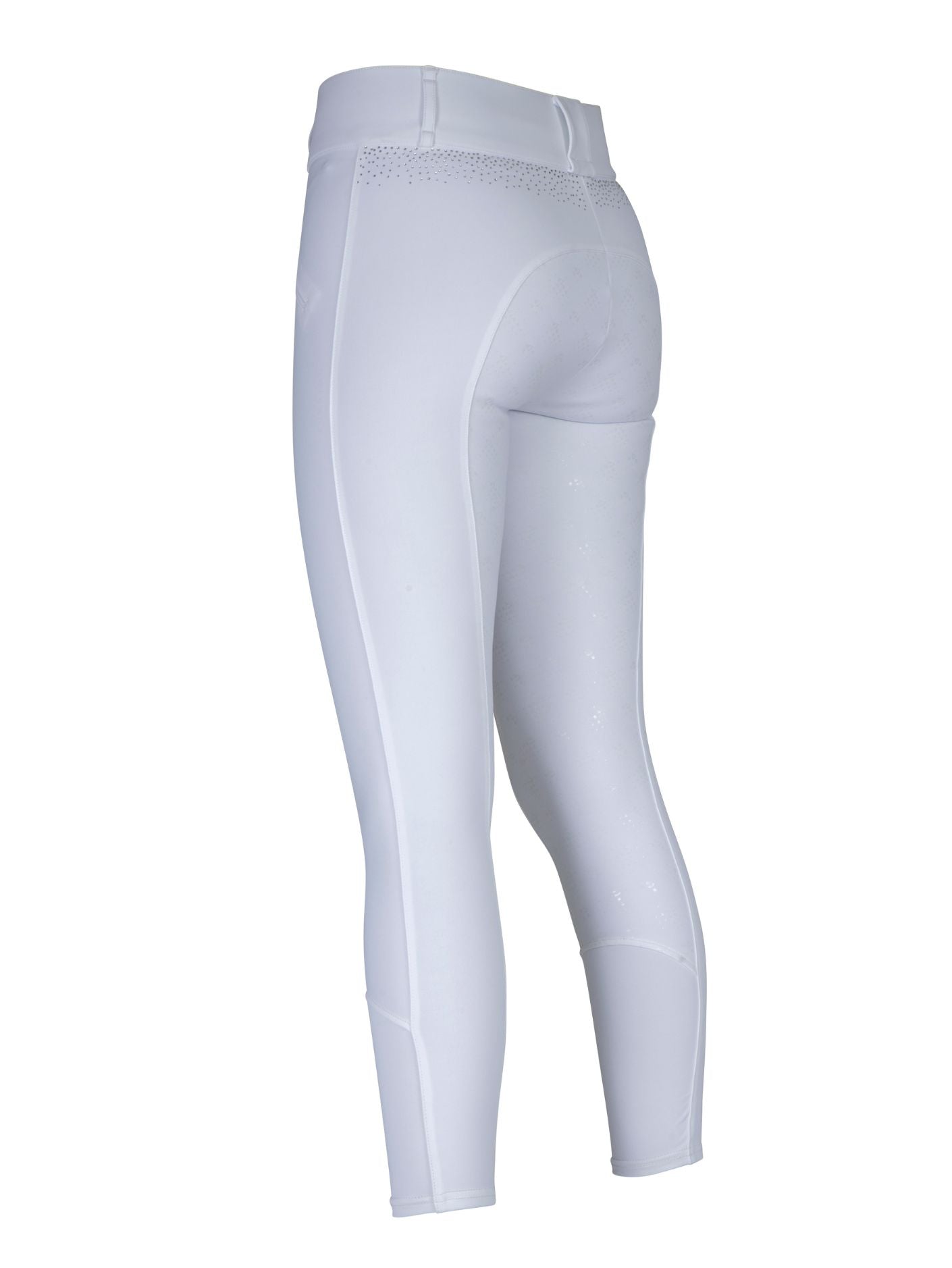 Aubrion Optima GX Sparkly Breeches
