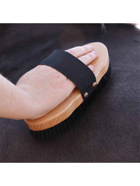 Premium Wooden Body Brush