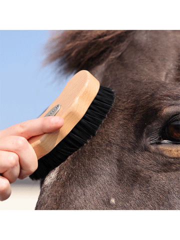 Premium Wooden Face Brush