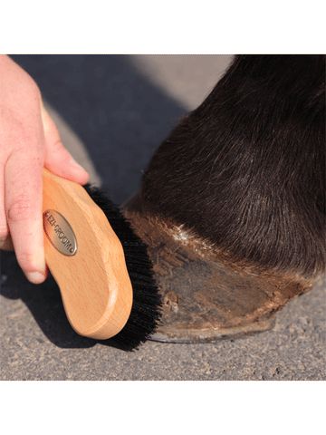 Premium Wooden Hoof Brush