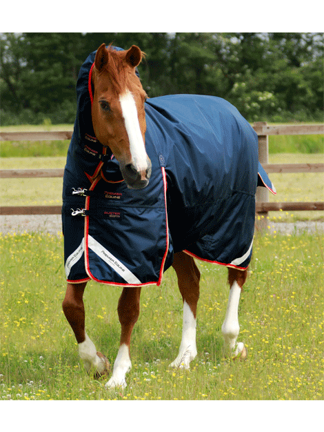 Premier Equine Buster 200g Turnout Combo with Snug Neck