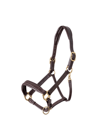 Leather Travel Headcollar