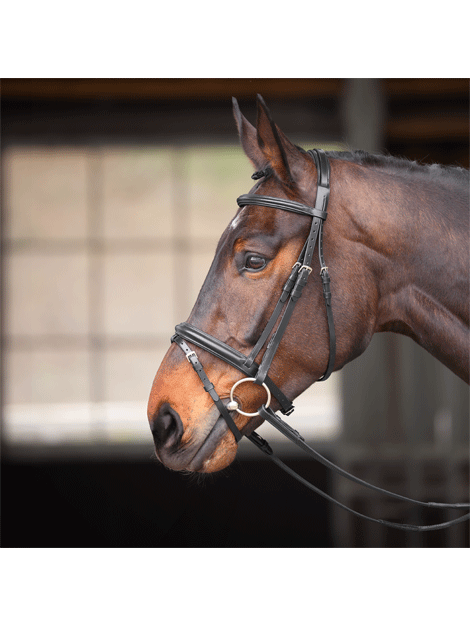 Shires Velociti Gara Comfort Fit Bridle