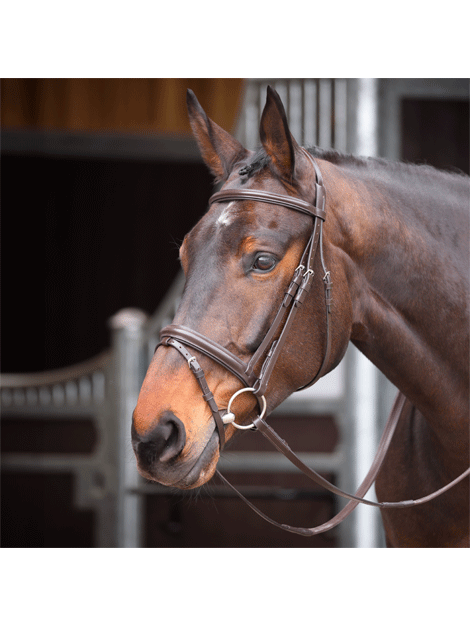 Shires Velociti Gara Comfort Fit Bridle