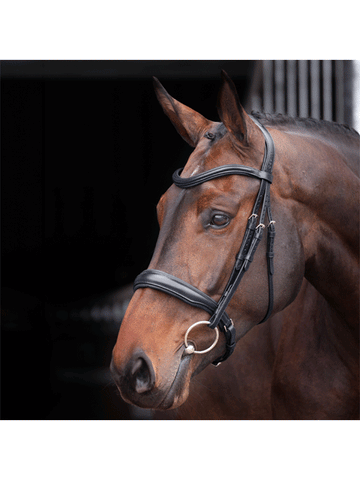 Shires Lusso Elite Padded Cavesson Bridle