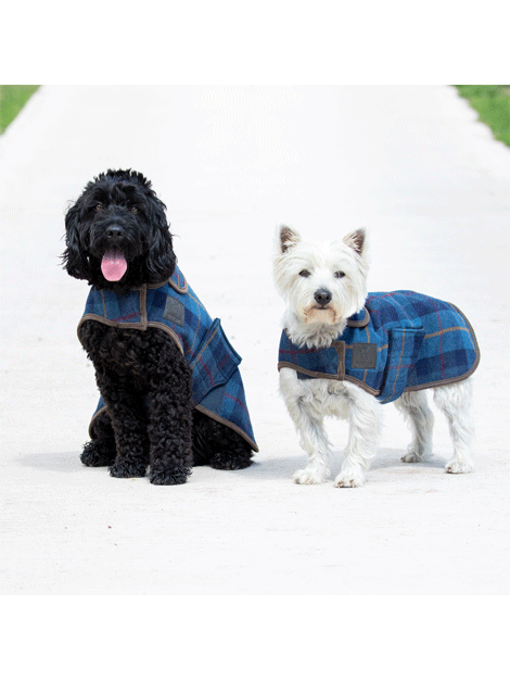 Digby & Fox Tweed Dog Coat