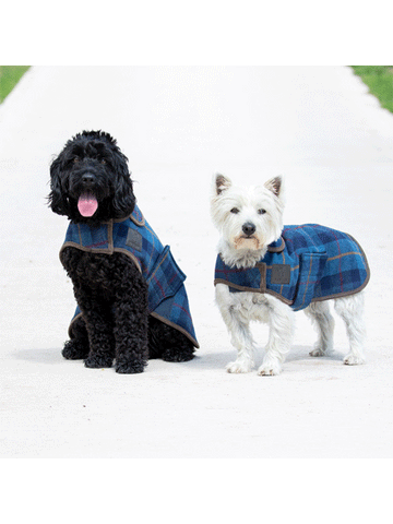 Digby & Fox Tweed Dog Coat