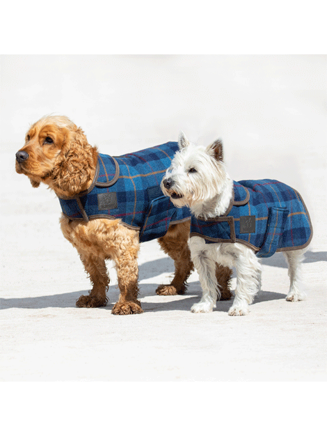 Digby & Fox Tweed Dog Coat