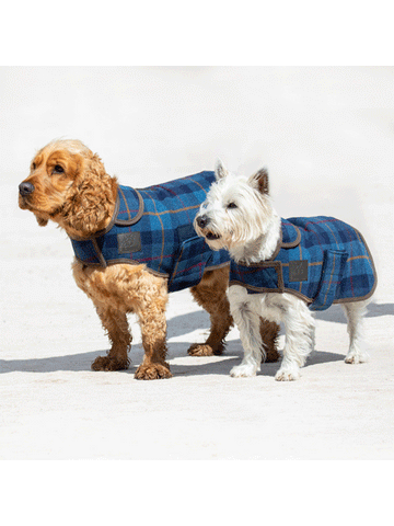 Digby & Fox Tweed Dog Coat