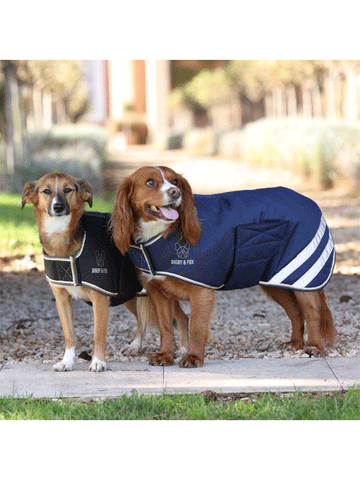 Digby & Fox Waterproof Dog Coat