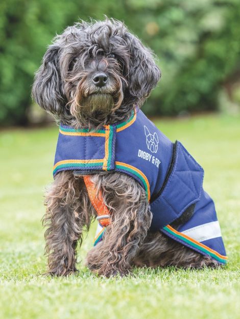 Digby & Fox Waterproof Dog Coat
