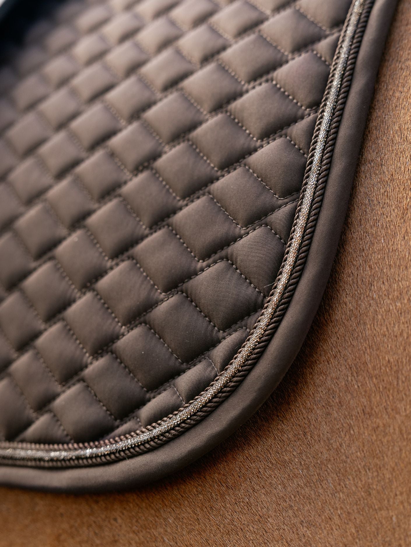 Brilliance Saddle Pad- Le Mieux- Dressage