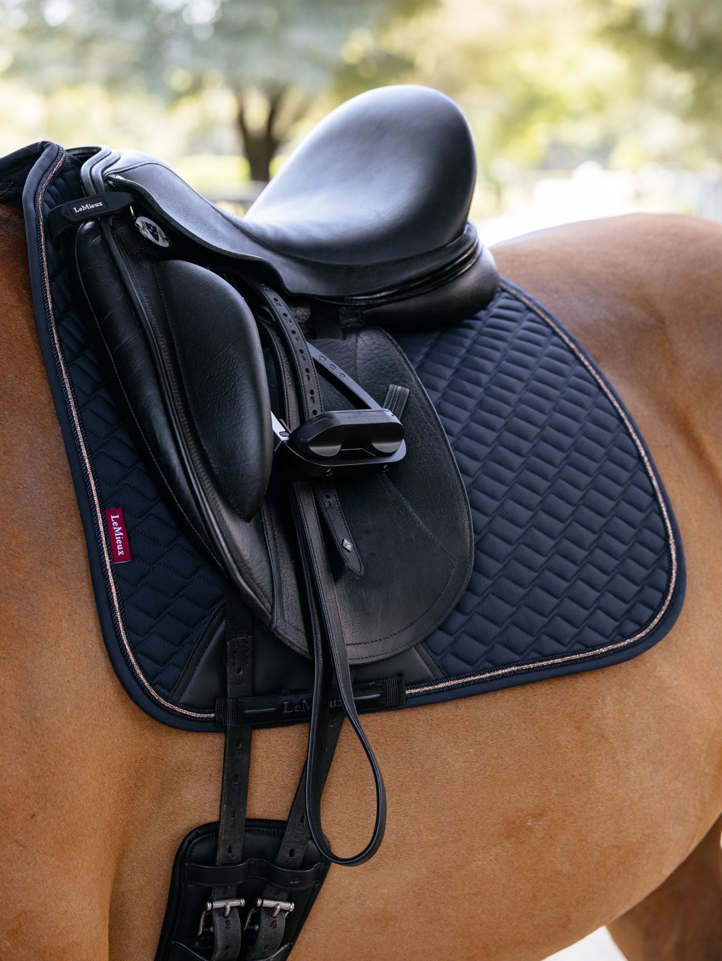 Brilliance Saddle Pad- Le Mieux- Dressage