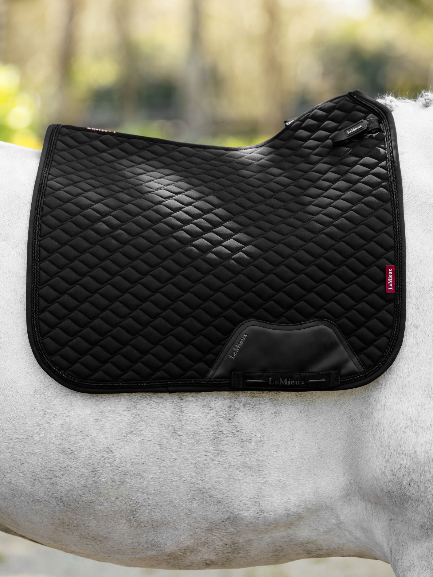 Brilliance Saddle Pad- Le Mieux- Dressage