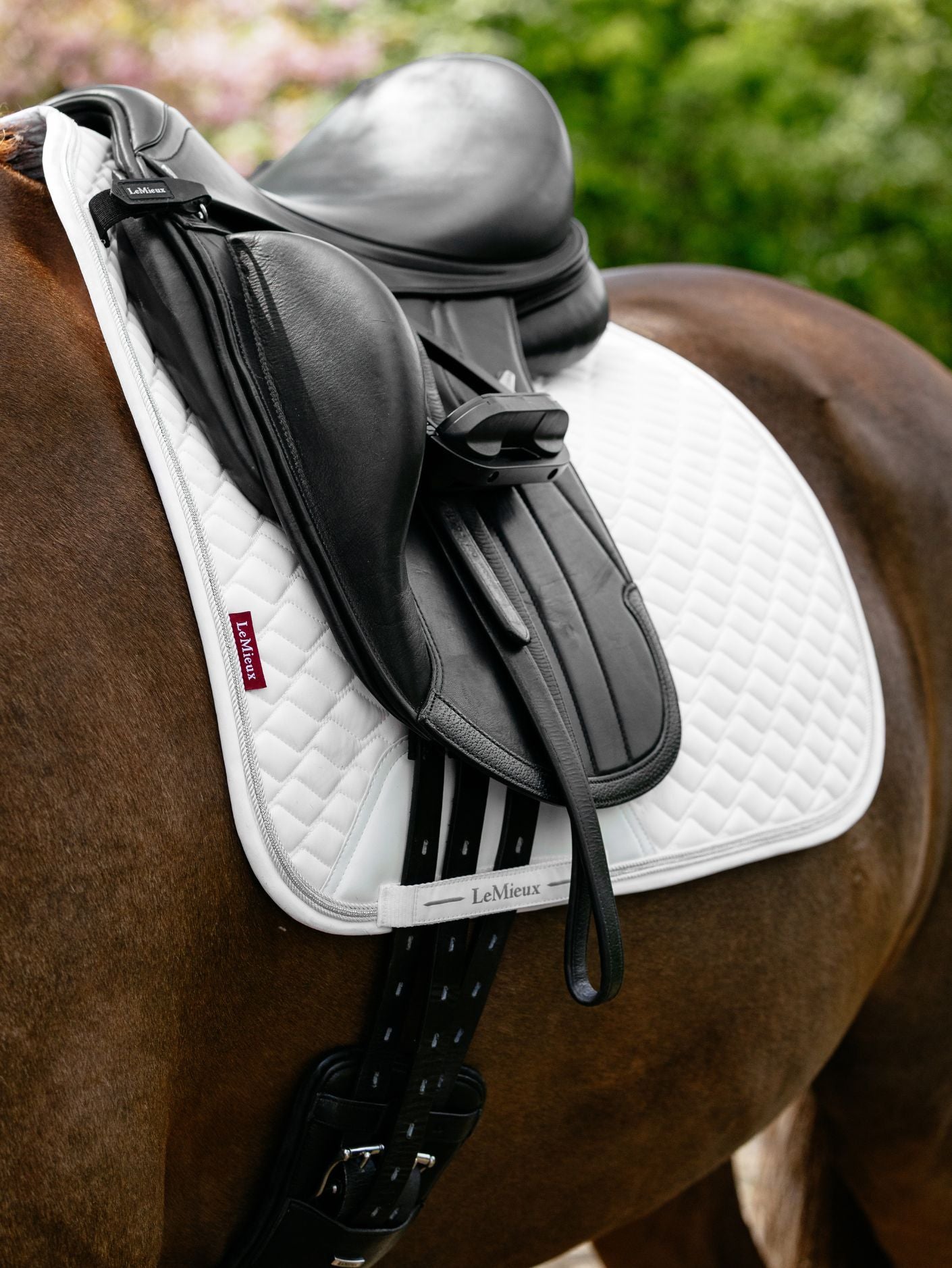 Brilliance Saddle Pad- Le Mieux- Dressage