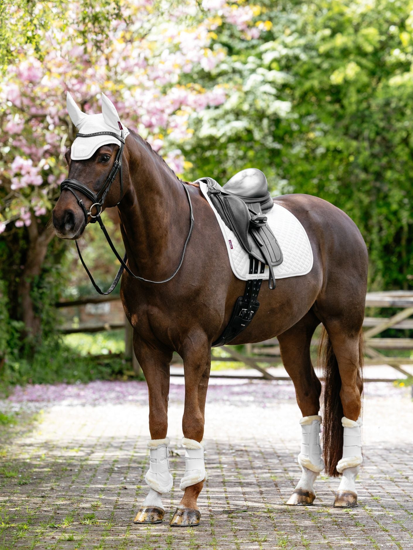 Brilliance Saddle Pad- Le Mieux- Dressage